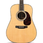 Martin D42 Standard Series Acoustic Guitar